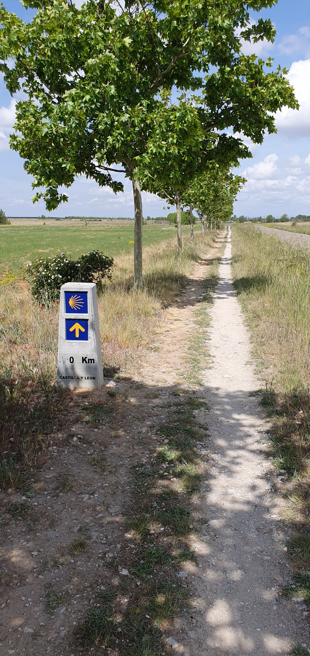 Why are you walking the&nbsp;Camino?